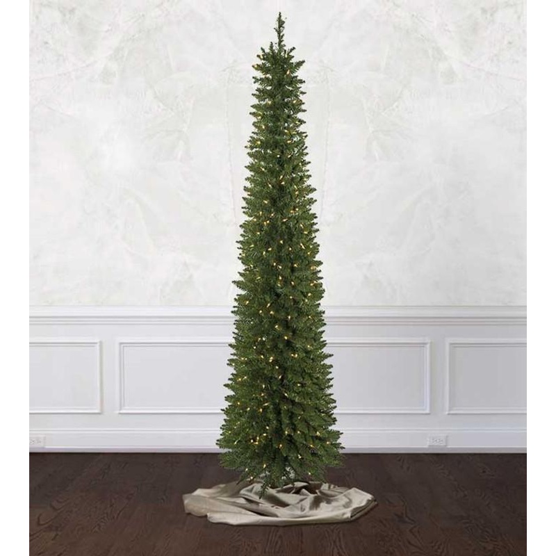 Arrow Spruce