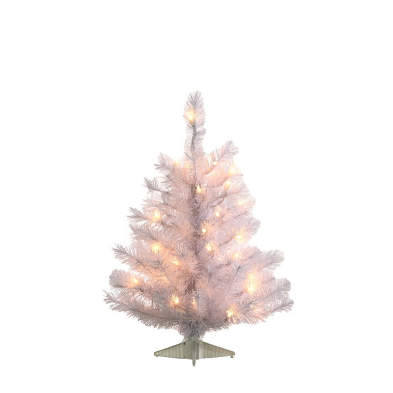 3' WHITE Colorado Spruce Tree- Clear
