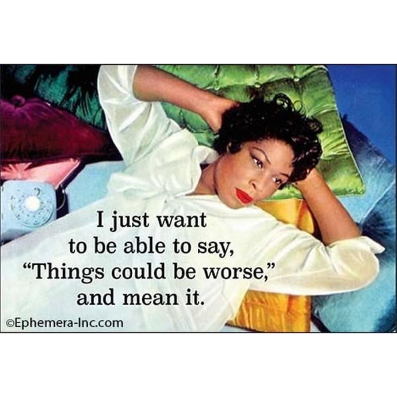 "Things Could Be Worse" Magnet