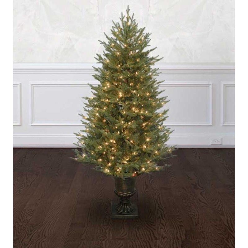 4.5' Potted Cumberland Fir Tree - Clear