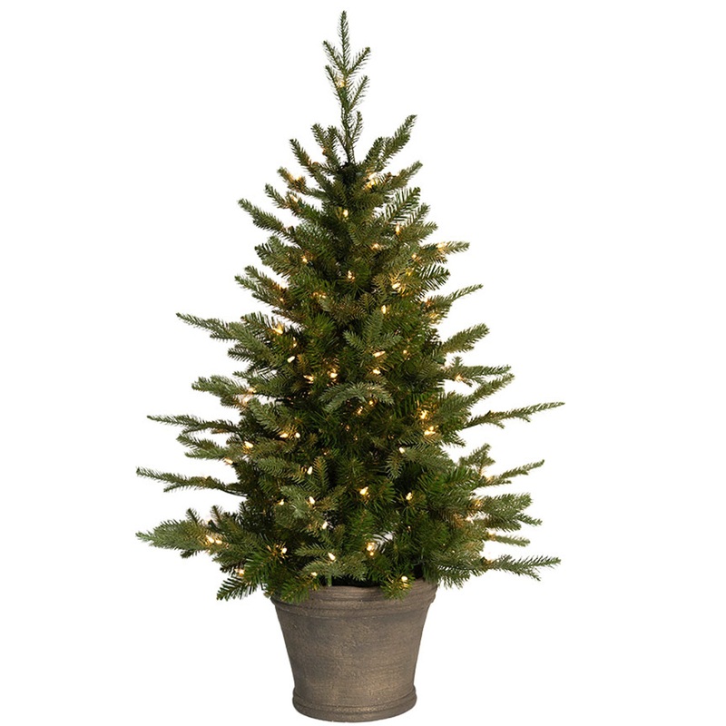 4' Atlantic Fir Potted Tree - Clear Lights