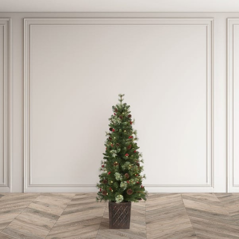 4.5ft Pre-Lit Brazil Pine Christmas Tree