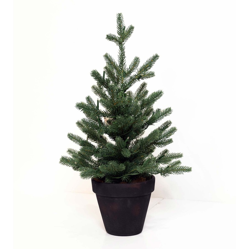 1.5' Balsam Seedling Potted Tree- Battery Operated - Clear LED Lights