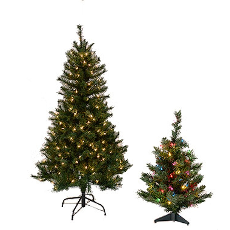 3' Colorado Spruce Tree Clear