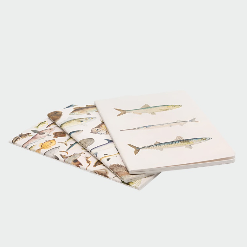 Notebooks 'Fishes Of NZ' - 3pk