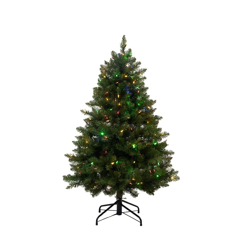 4.5' Ashton Spruce - Multi