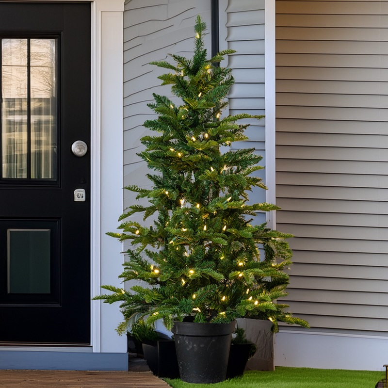 4' Arctic Frasier Potted Tree - Clear LED