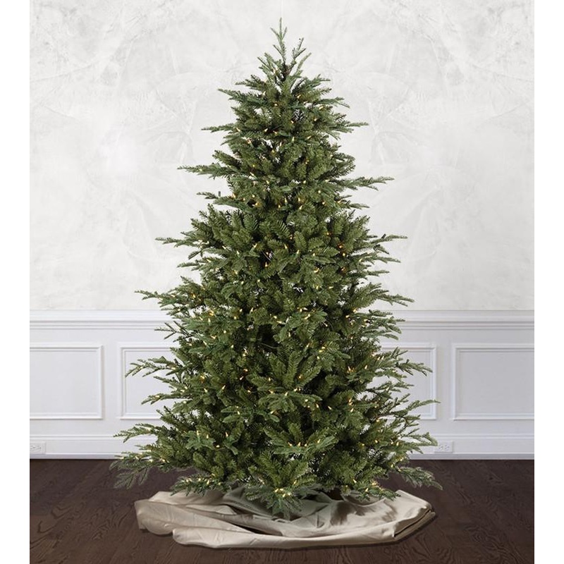 Mountain Frasier Fir
