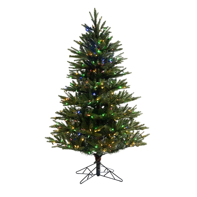 5' Stockton Spruce-Multi