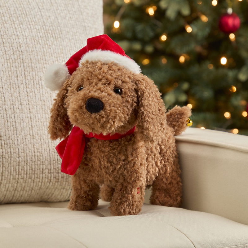 Walking & wagging Brown Poodle dog