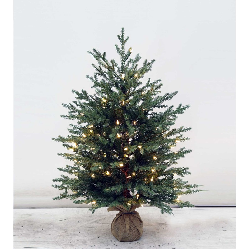 3' Cumberland Fir Tree - Clear LED
