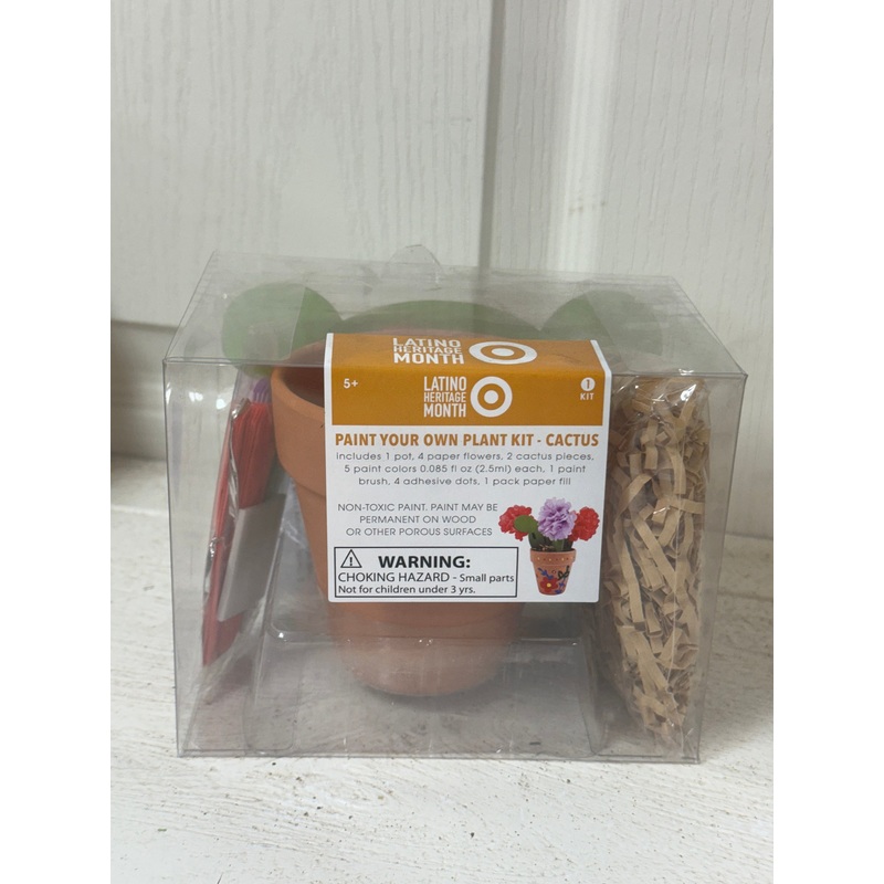 Paint Your Own Cactus Plant Kit