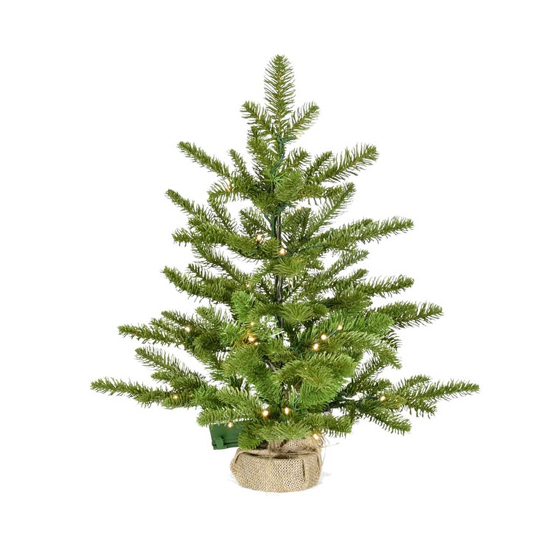 2' Northern Noble Fir TREE - B/O CLEAR