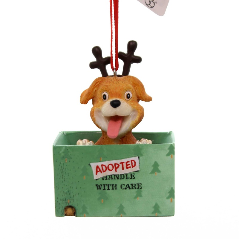 Adopted For Christmas Day 38621