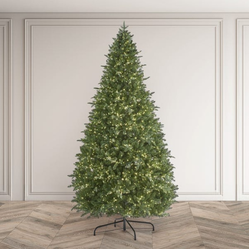 6.5ft Pre-Lit Eaton Fir Christmas Tree