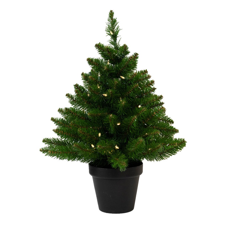 2' Fat Albert Spruce Potted Tree - Battery-Op Clear LED