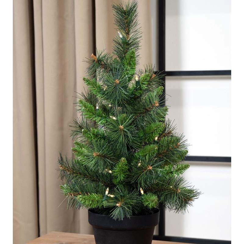 2' Mixed Frasier Pine Potted Tree - Battery-Operated Clear LED