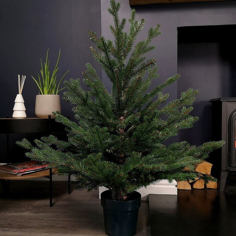 3ft (90cm) Premier Potted Green PE PVC Glenshee Spruce Christmas Tree 537 Tips
