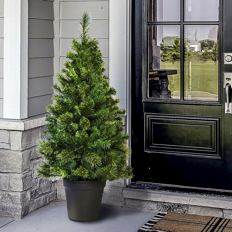 The 4ft Majestic Dew Pine Potted Tree (Outdoor)