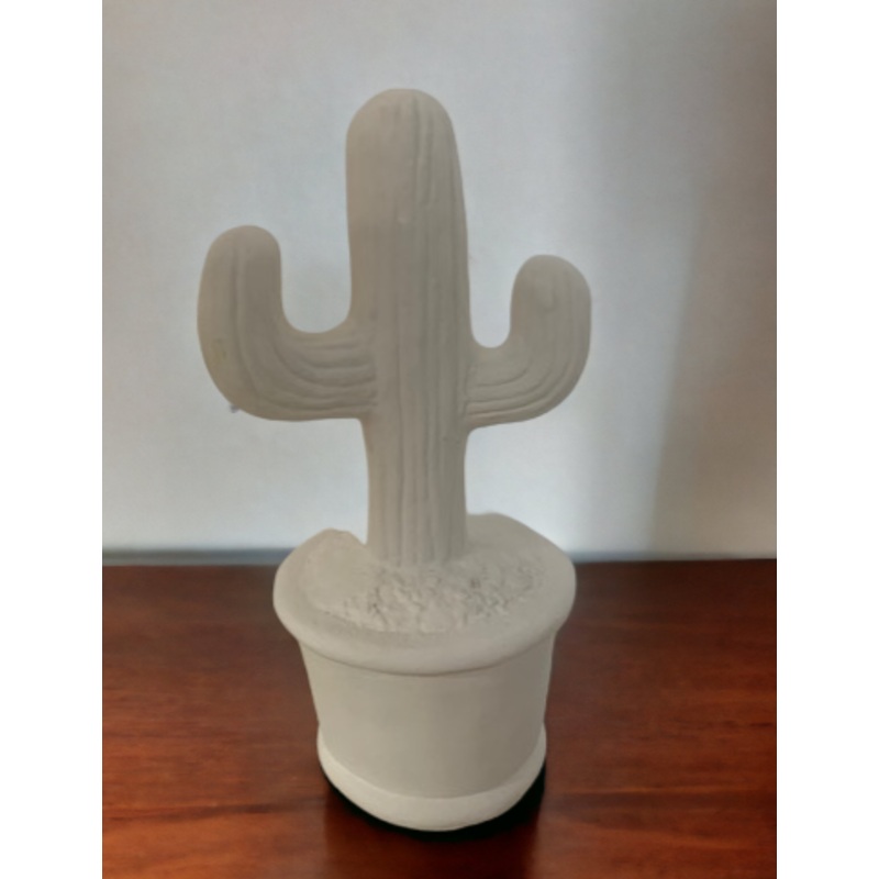 Cactus Succulent Pot