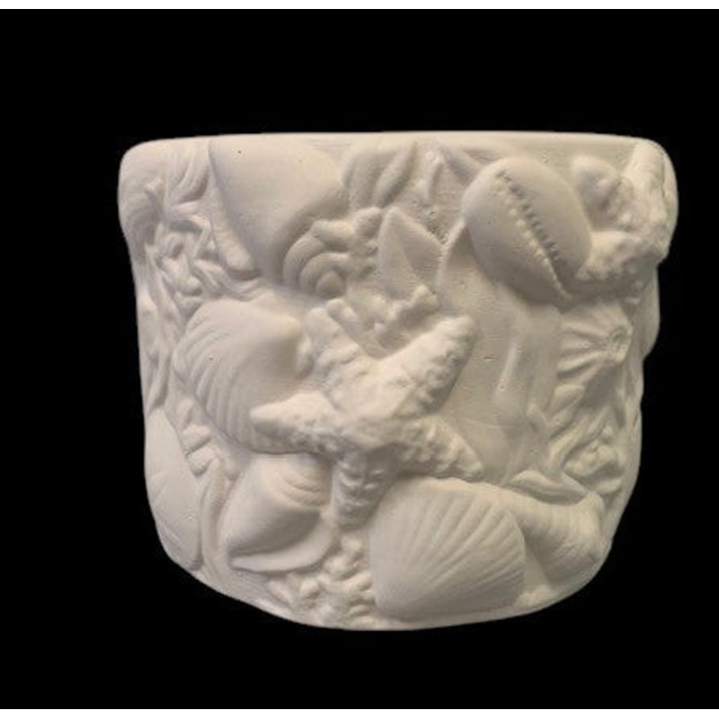 Large Seashell Ocean Shell Planter