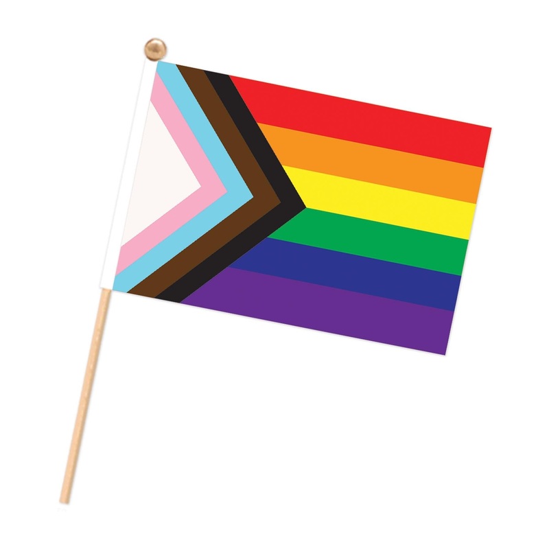 6 Pack Bulk Pkgd Pride Flags